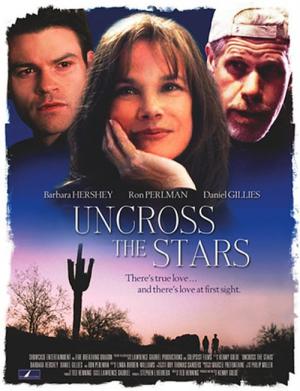 Yıldızların İzinde (2008)
