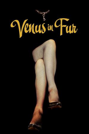 Kürklü Venüs (2013)