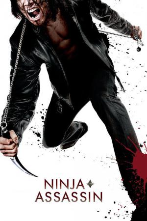 Ninja'nın İntikamı (2009)