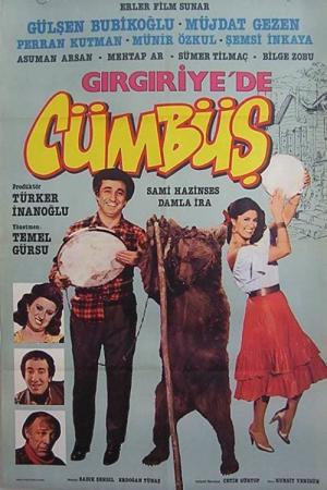 Gırgıriye'de Cümbüş Var (1983)