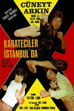 Karateciler İstanbul'da (1974)