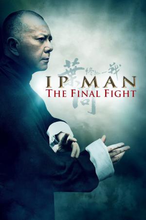 Ip Man: Son Dövüş (2013)