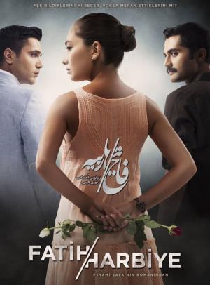 Fatih-Harbiye (2013)