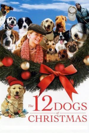 12 Noel Köpeği (2005)
