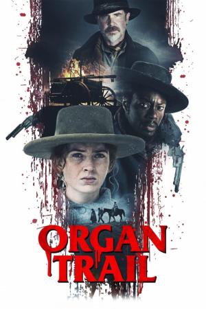 Organ Yolu (2023)
