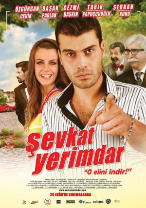 Şevkat Yerimdar (2013)