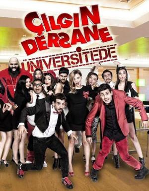 Çilgin Dersane Üniversitede (2014)