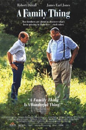 Bir Aile Sorunu (1996)