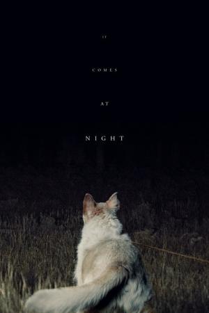 Gece Gelen (2017)