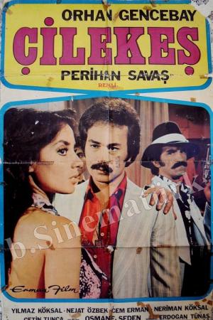 Çilekeş (1978)