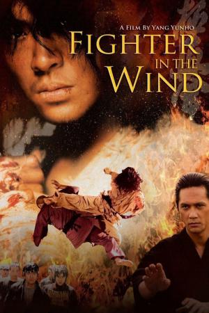 Fighter in the Wind (2004)