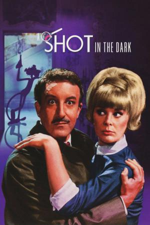 Karanlıkta Bir Çığlık (1964)