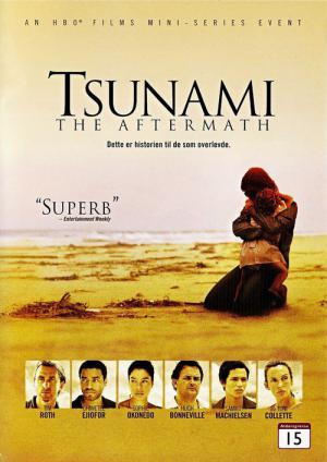 Tsunami Felaketin Sonrasi (2006)