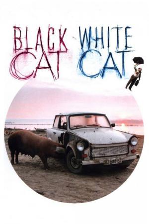 Kara Kedi, Ak Kedi (1998)