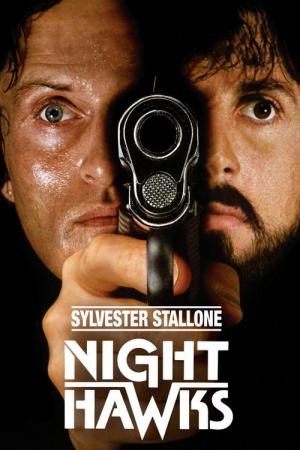 Gece Şahini (1981)