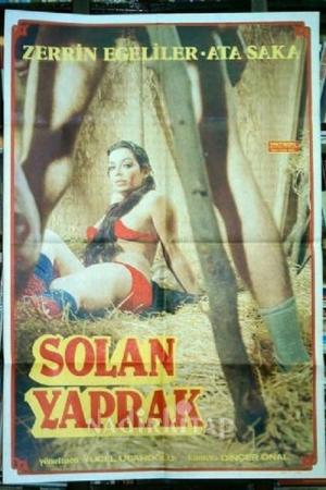 Solan Yaprak (1979)