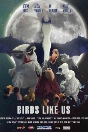 Kuşlar Bizim Gibi (2017)