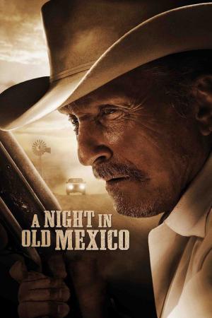 Eski Meksika'da Bir Gece (2013)