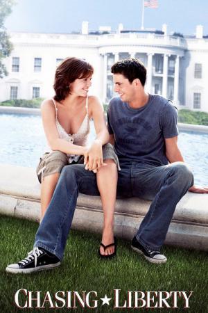 Aşkın Peşinde (2004)