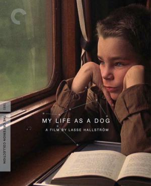 Köpek Olarak Hayatım (1985)