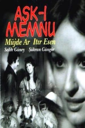 Aşk-ı Memnu (1975)