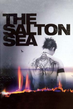 Salton Denizi (2002)