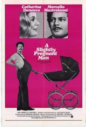 Kocam hamile (1973)