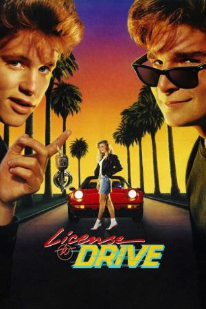 Sürücü Ehliyeti (1988)
