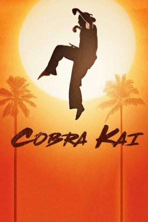 Cobra Kai (2018)