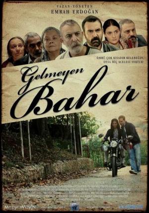 Gelmeyen Bahar (2013)
