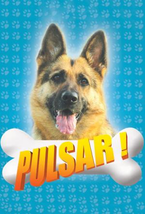 Pulsar (2008)