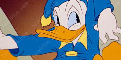 Donald Duck filmleri