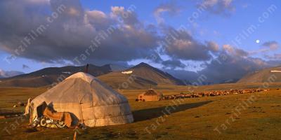 Moğolistan filmleri