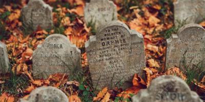 evcil hayvan mezarlığı filmleri