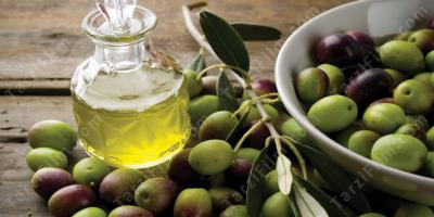 zeytin filmleri