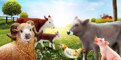 çiftlik hayvanı filmleri