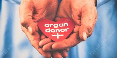 organ bağışı filmleri