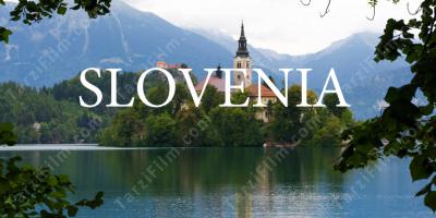 Slovenya filmleri