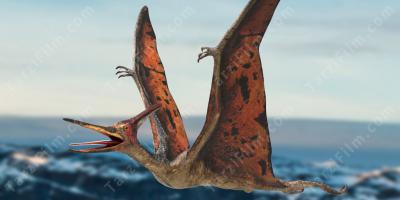 pteranodon filmleri