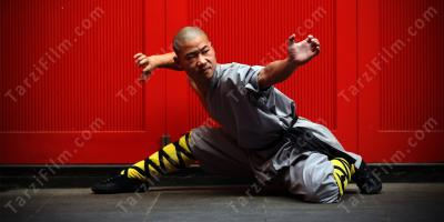 Shaolin kung fu filmleri