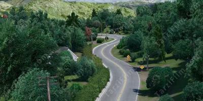 Mulholland Çıkmazı filmleri