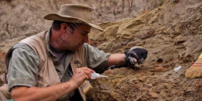 paleontolog filmleri