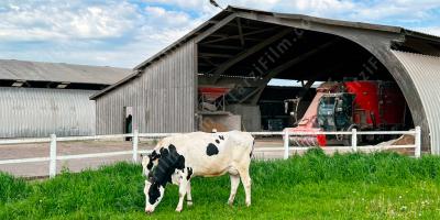 hayvan çiftliği filmleri