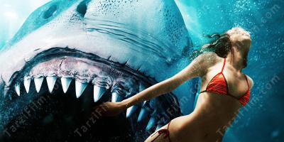 köpekbalığı istismarı filmleri