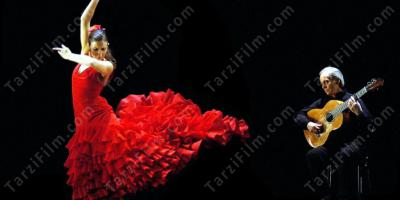 flamenko filmleri
