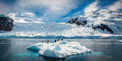 Antarktika filmleri